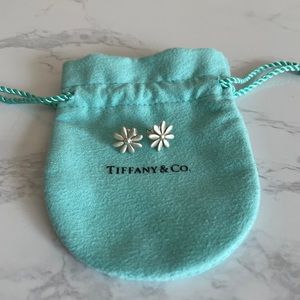 Tiffany & Co. RARE Silver Daisy Matte Earrings